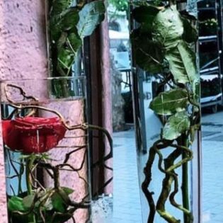 Christmas Submerge Flowers